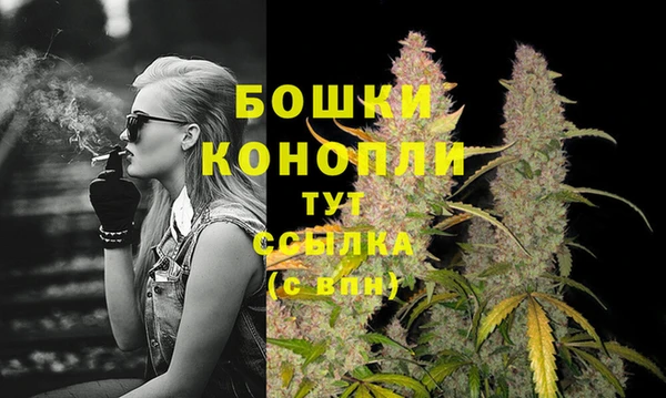 Альфа ПВП Краснослободск