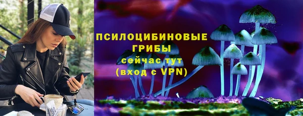 Альфа ПВП Краснослободск